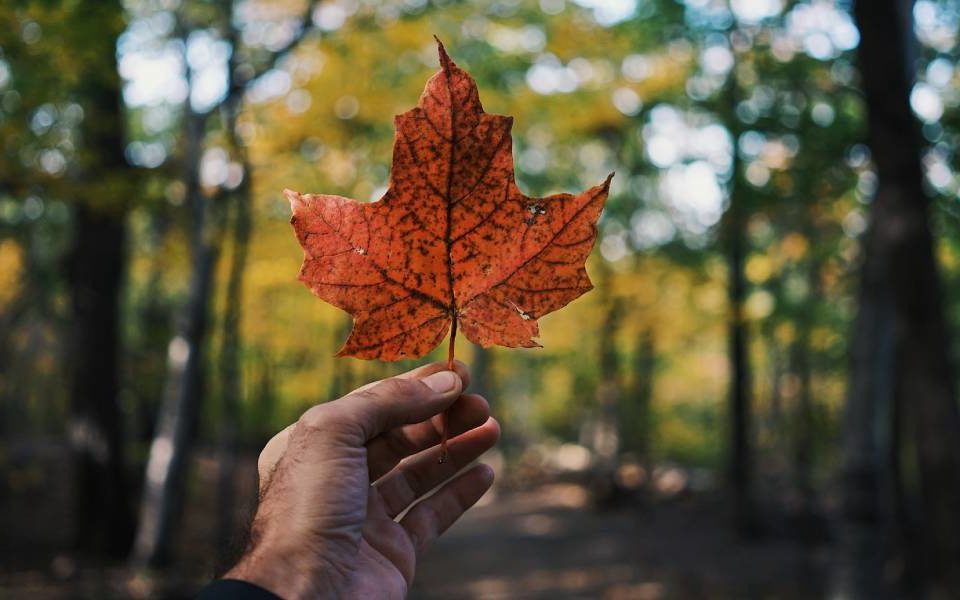 Canada invites 6,300 skilled workers for permanent residency